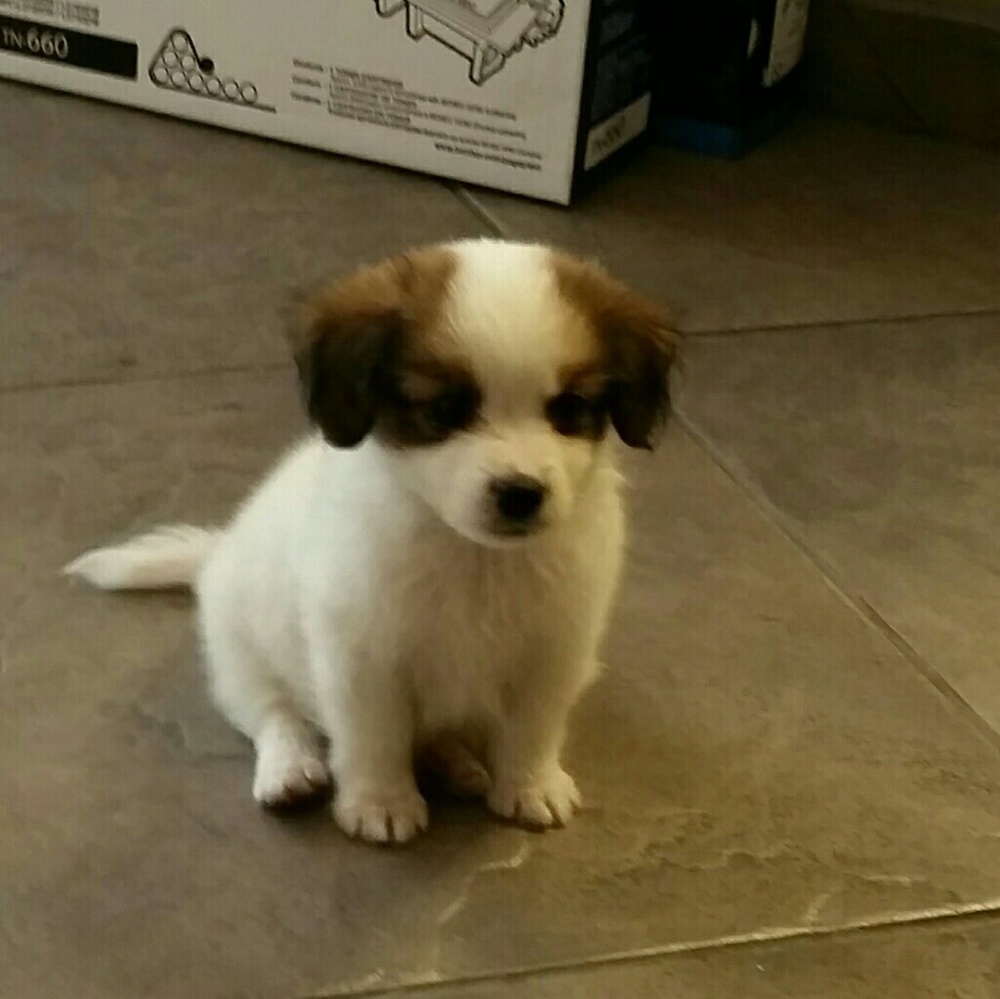 Meet your Posher, Margaret